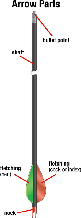 20201108-111332.png